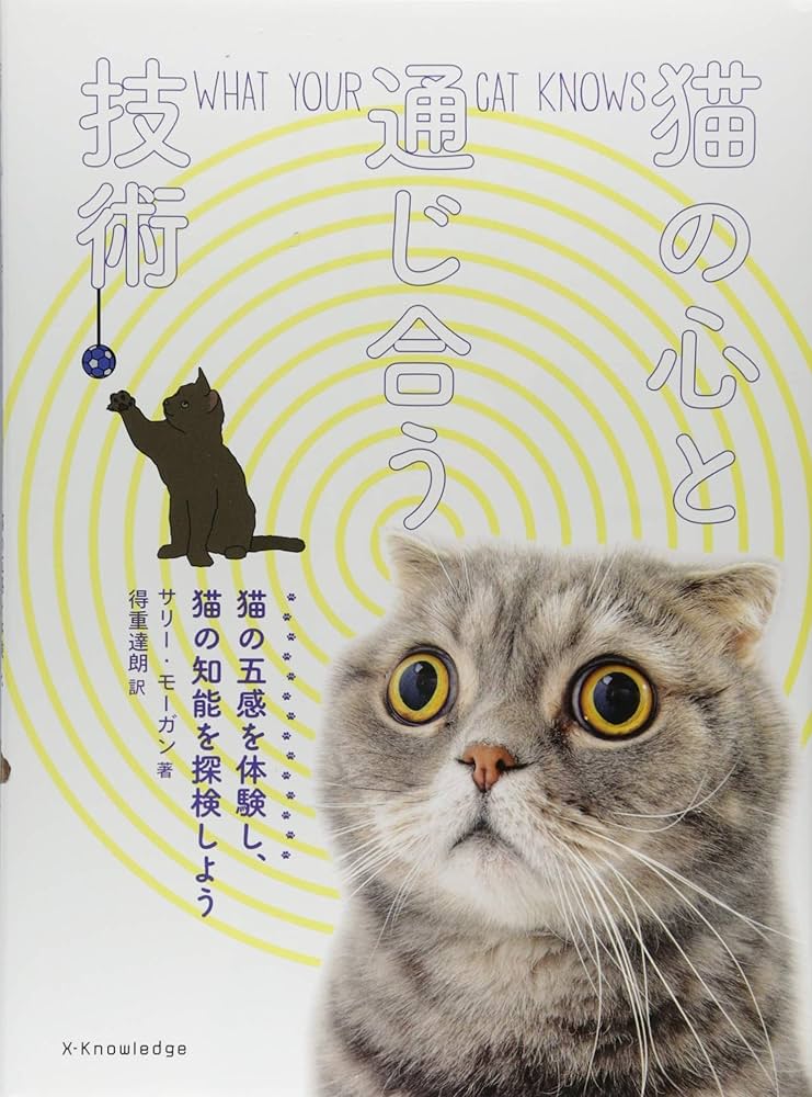 猫の本 ねこがしんぱい」角田光代 [絵本] - KADOKAWA
